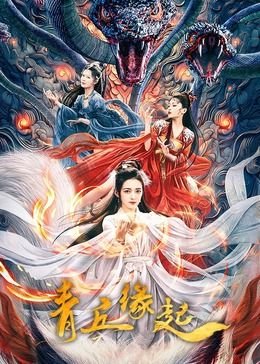 极品家丁连续剧演员表名单