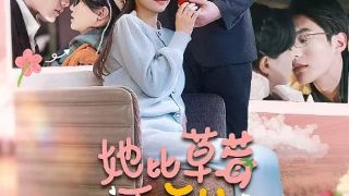 电视剧《秘密行动》