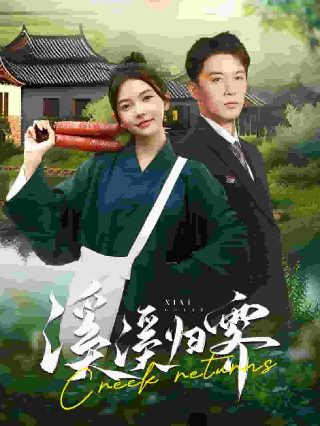 侠盗正传在线观看大结局免费