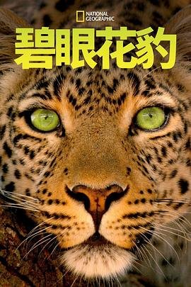 电影《唐顿庄园》演员表名单大全视频