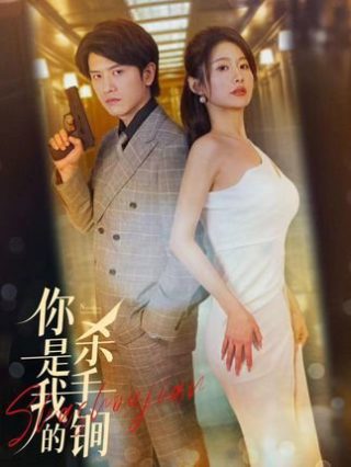 太极张三丰免费播放下载全集电影