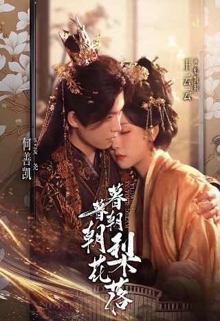 硬核电影石桥慧