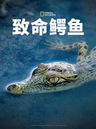他予我星光短剧百度百科