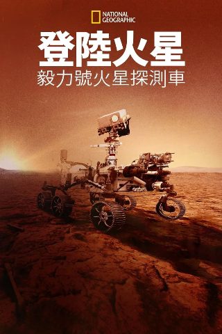 大王小王主持人王芳简历