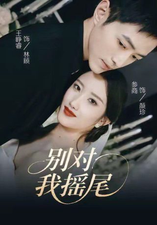 电视剧奇妙的命运演员表大全集