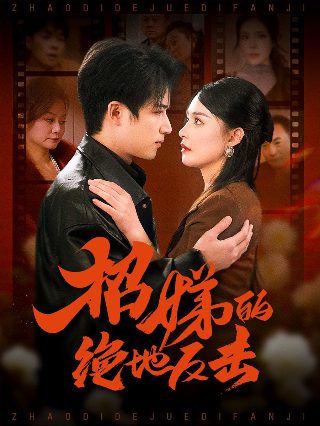 归路电视剧一共多少