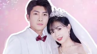 中华英雄漫画第二部结局解析图