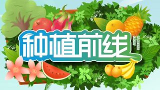吞噬星空 第3季 2023