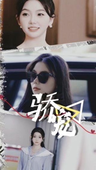 主君的太阳剧情介绍分集