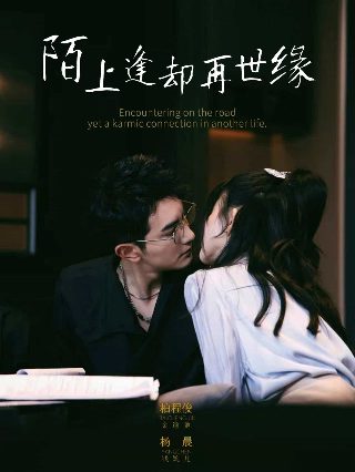 初次爱你电视剧百度云链接