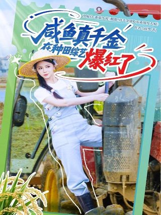 电影《雪山惊魂》在线观看国语版免费高清