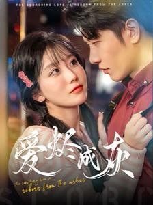 贺朝的《背影》原文及翻译拼音版