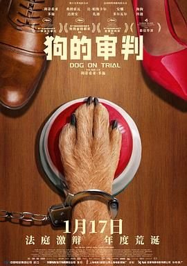 2017年版射雕英雄传免费观看