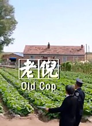 狼行拂晓电视剧45集全