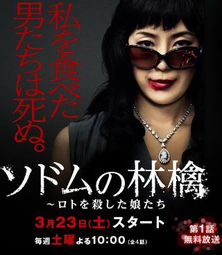猫女孩2008在线观看完整版高清视频