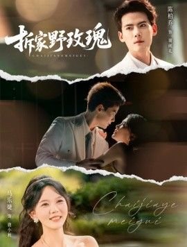 《活着》电影观后感300字左右作文怎么写的