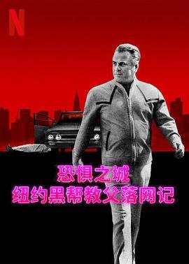 董卿《致青春》的朗诵稿原文视频大全集最新版