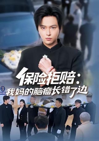 五个女人电视剧免费观看全集高清
