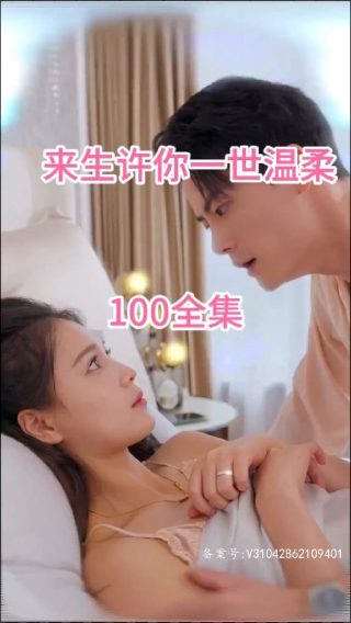 换子成龙电视连续剧