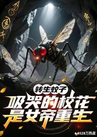 咒怨5在线播放免费观看