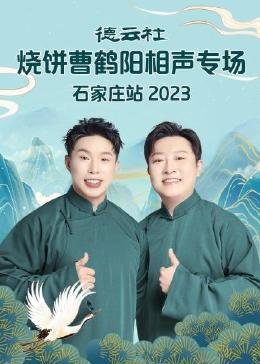 悬案追凶百度百科免费观看全集电视剧