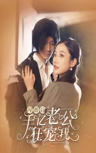 捕风追影hd国语版2025