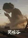 我们现在看不到红楼梦哪个章节 a