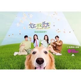 灌篮高手普通话百度云下载资源
