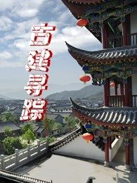 丑女医妃网剧百度云下载