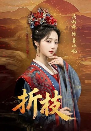 我的绝密生涯21集