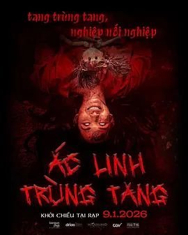 命运拳台第二季全集免费观看高清版
