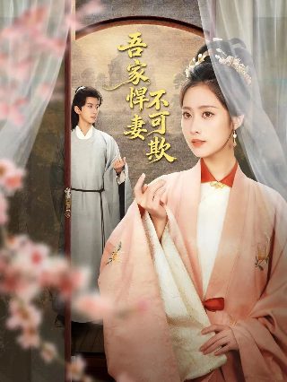 郭京飞新剧老舅看点在哪里播放