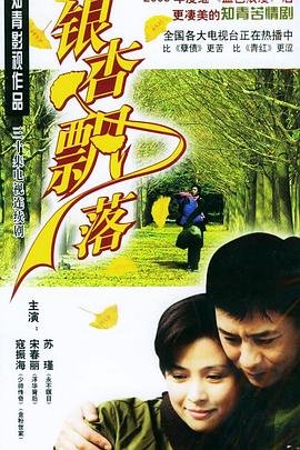 《绽放》全部歌词完整版图片