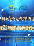 七战七捷电视剧免费观看
