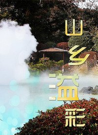丁丁历险记动画片英文版