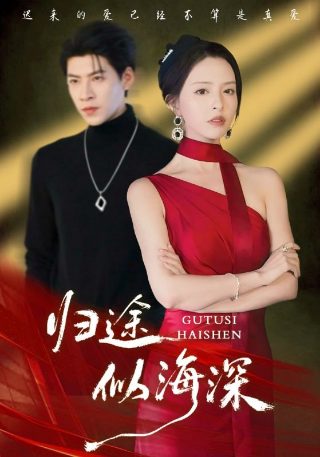 丑女医妃的电视剧