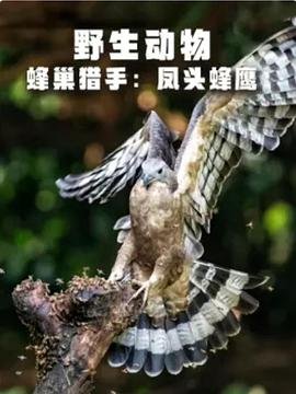 威尔金斯与球迷球鞋重逢