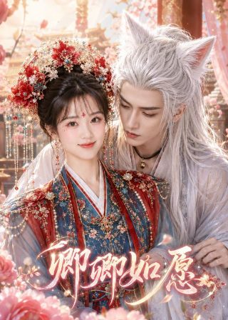 电影《太阳泪》演员表介绍图片视频