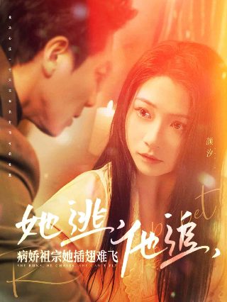 失忆医生第二季2022免费观看高清