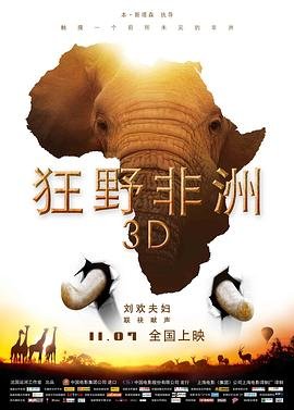 《爱情的温度》电影详情介绍在线观看免费