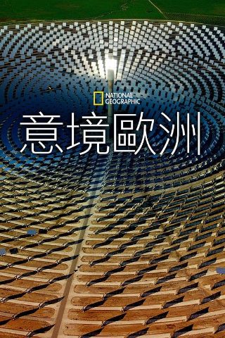 直到黎明讲的是什么