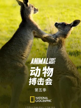 我的牛顿教练第五集免费观看全集视频