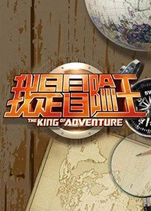 黑狐之风影电视剧22集