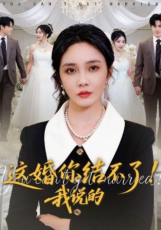 尘埃落定13集在线观看
