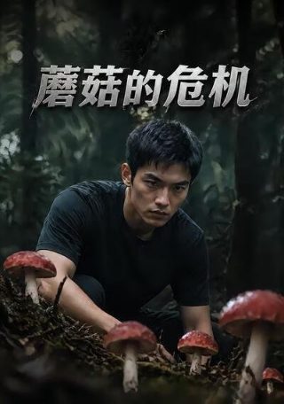 电视剧地下在线观看全集免费