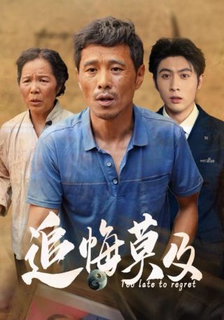 太极,软件
