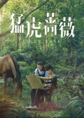 夜半梳头无删减版在线观看完整版