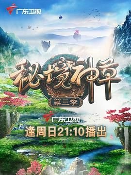 大唐女法医第2季在线观看全集高清
