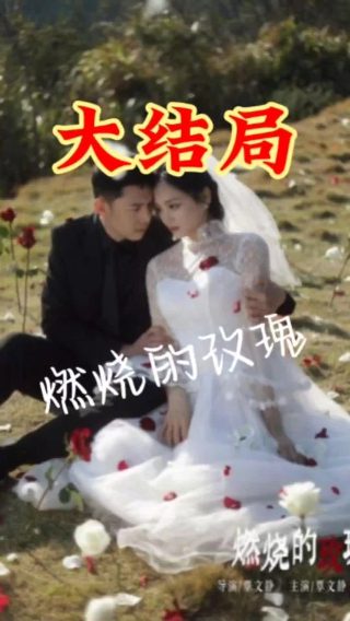 电影《三大队》在线观看免费高清版
