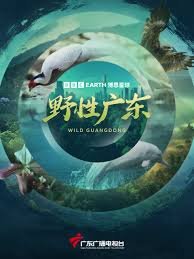 自由落体定律是什么
